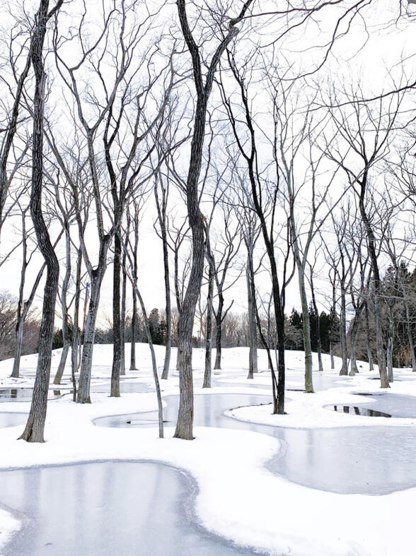 Art Biotop Water garden by Junya Ishigami