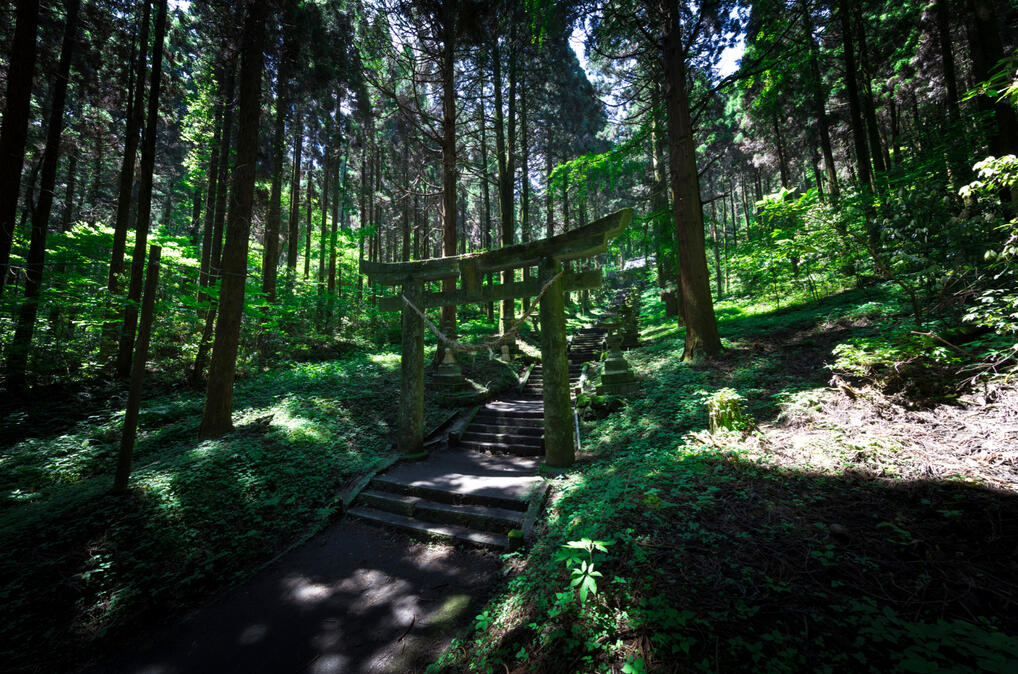 Ambiance ref : photography of Kamishikimi Kumanoimasu Shrine.